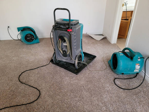 Best Emergency water damage restoration  in Marshalltown, IA