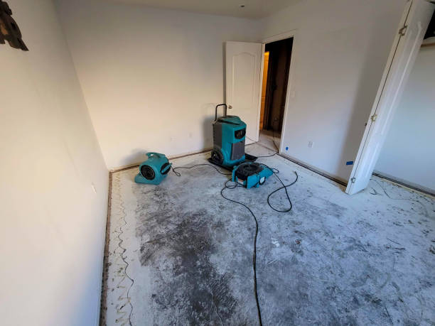  Marshalltown, IA Water damage restoration Pros