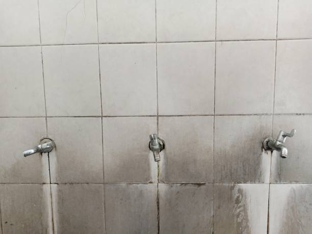 Best 24-hour water damage restoration  in Marshalltown, IA