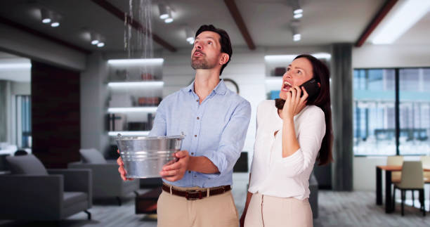 Best Commercial water damage restoration  in Marshalltown, IA