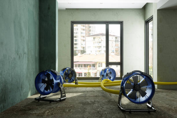 Best Professional water damage repair  in Marshalltown, IA