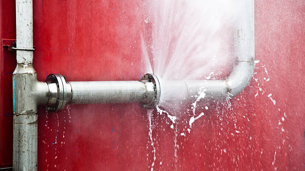 Best Water damage restoration specialists  in Marshalltown, IA